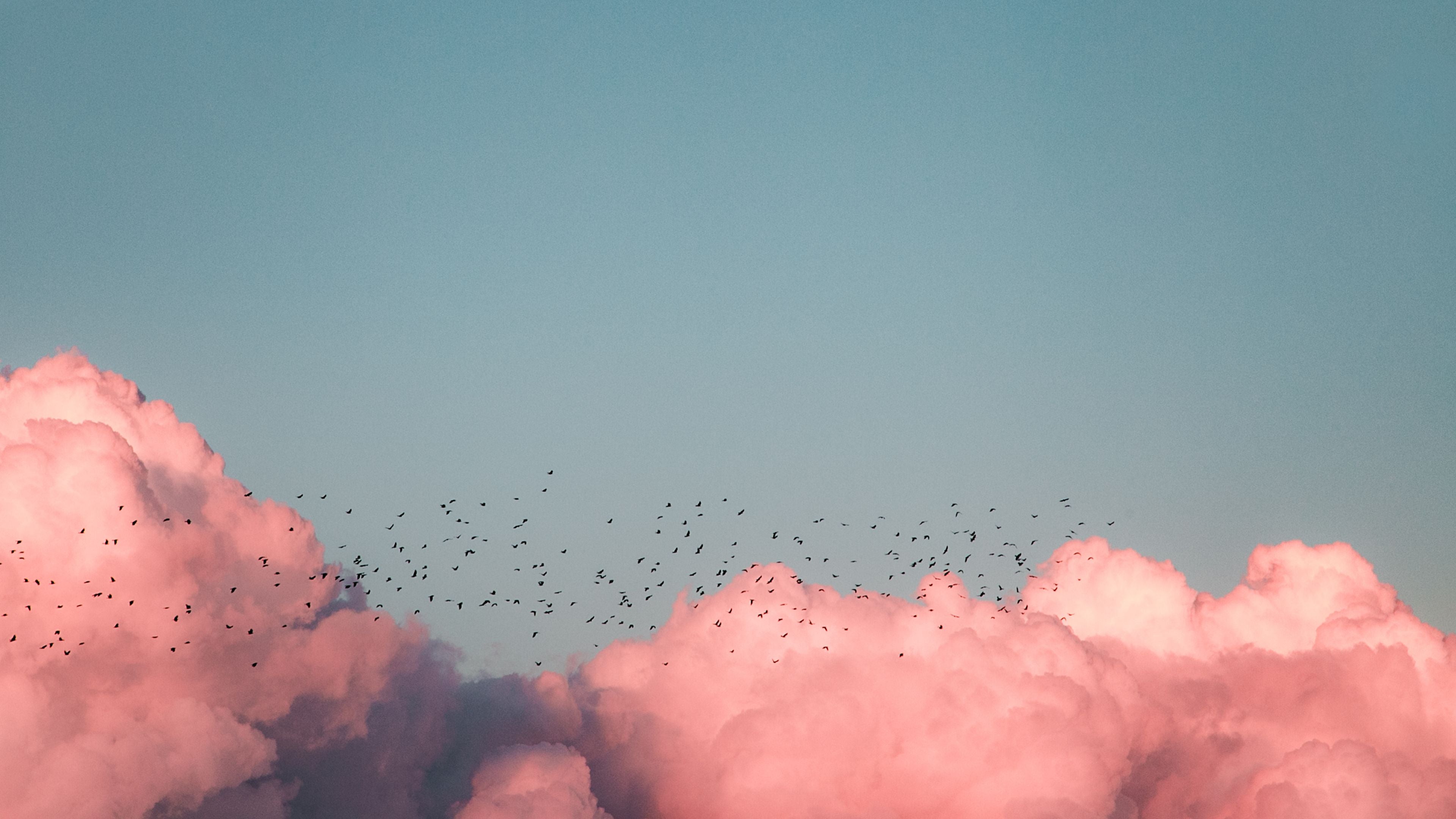 for_tomorrow_communication_agency_eco_age_green_book_awards