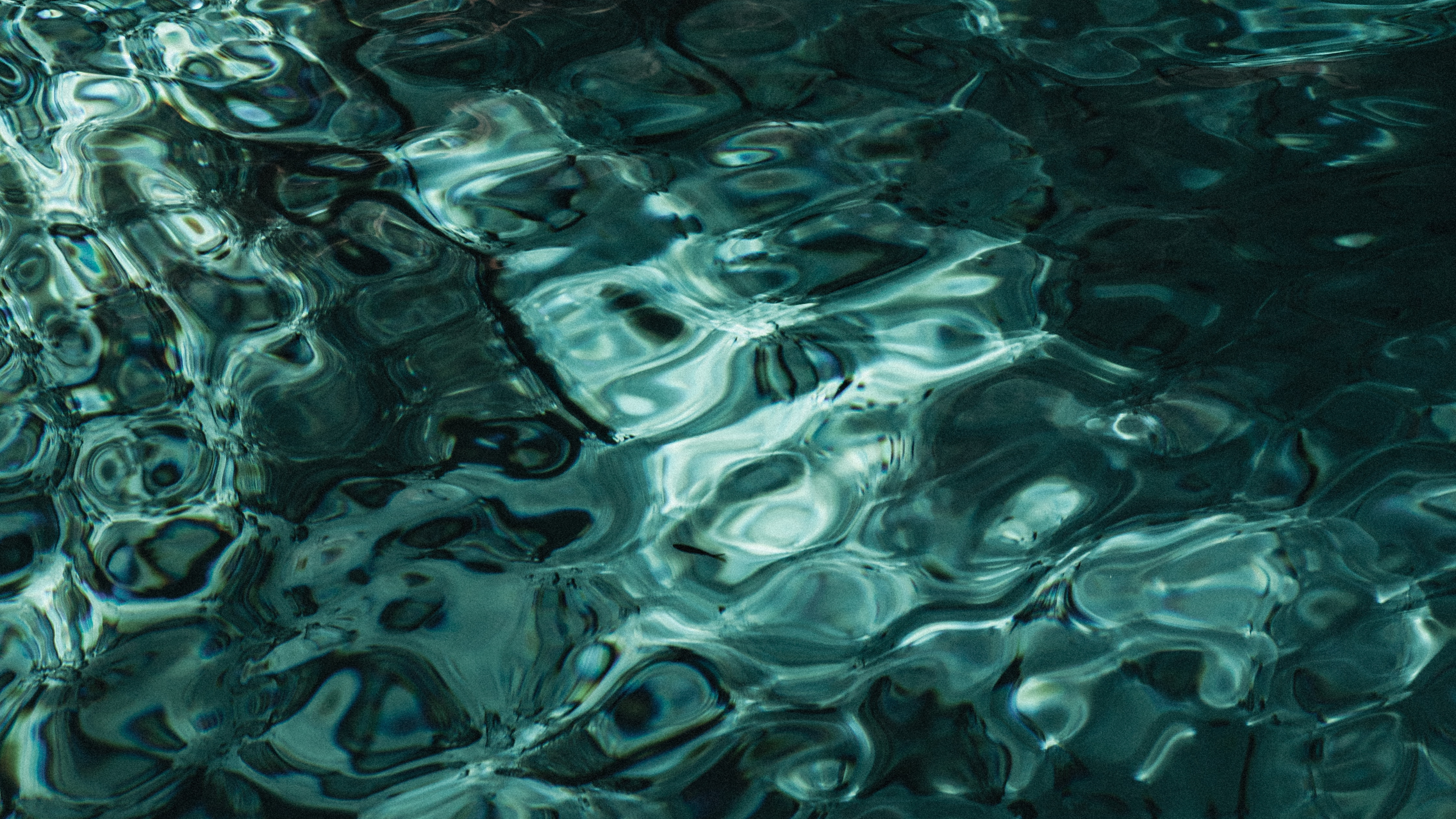 for_tomorrow_communication_agency_eco_age_green_book_awards