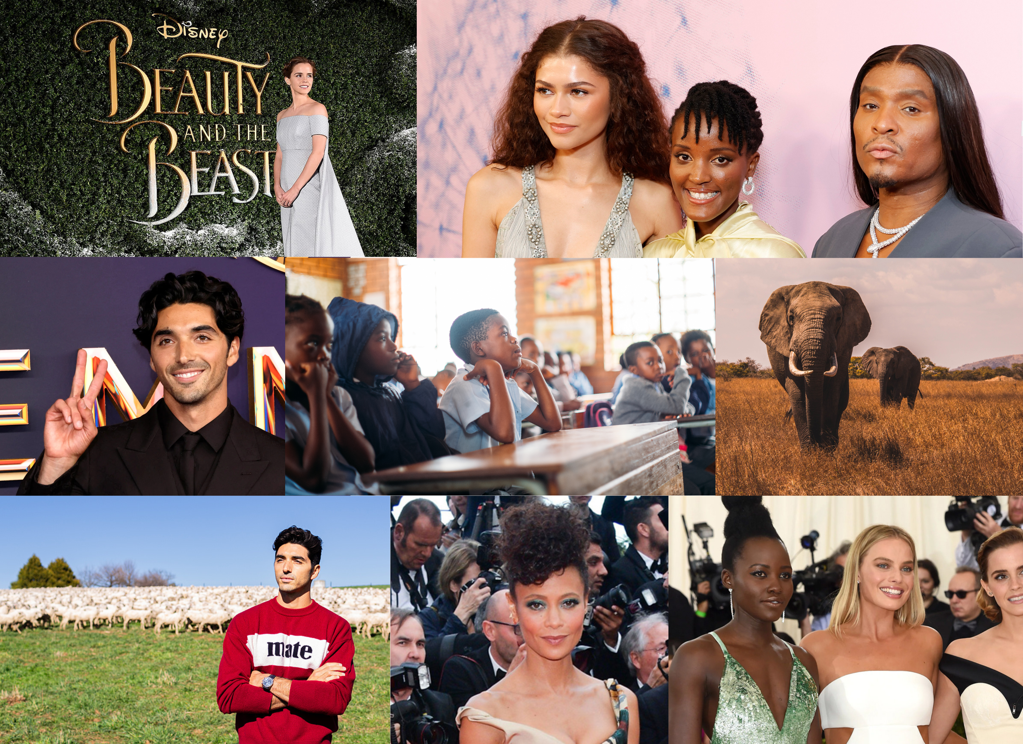 for_tomorrow_communication_agency_eco_age_green_book_awards